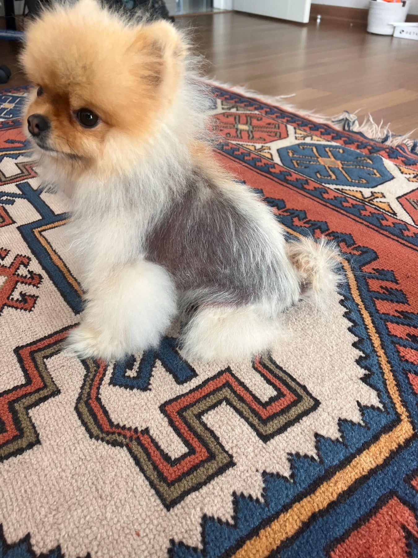 ALOPESİA X TÜY ÇIKARICI VAZELİN 100CC