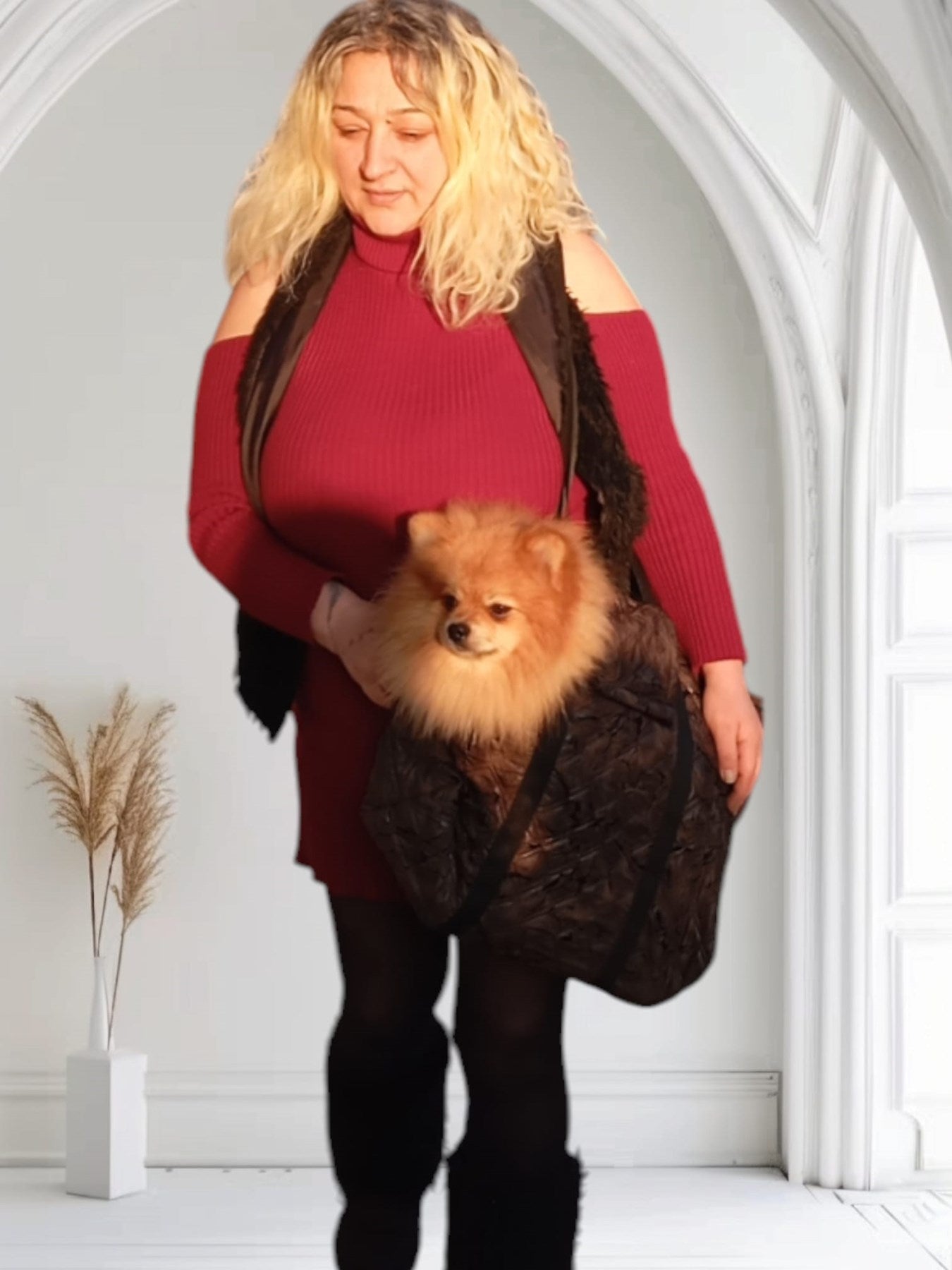 KÖPEK TAŞIMA ÇANTASI ,Sıvı Geçirmez,14 Kg a kadar