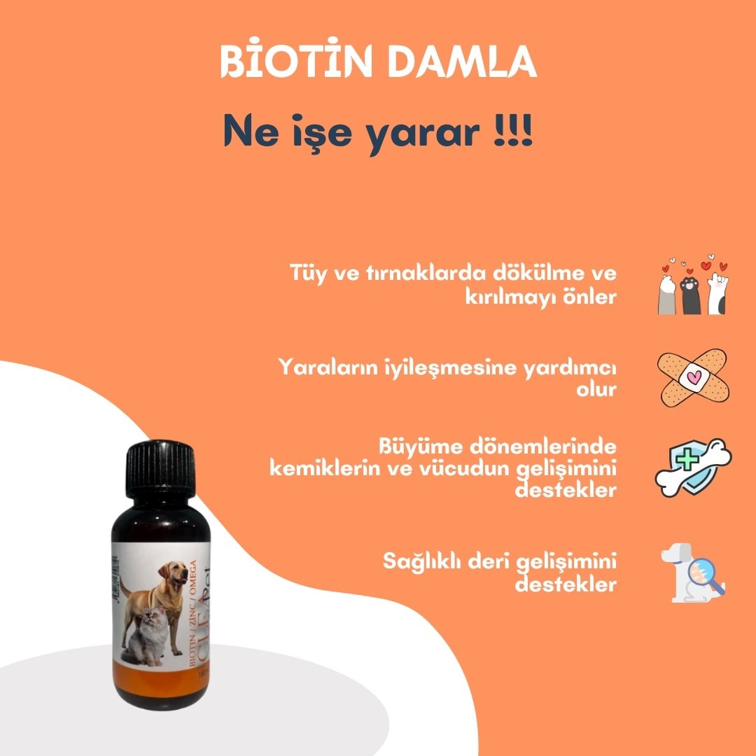 BİOTİN ÇİNKO OMEGA DAMLA 100ML