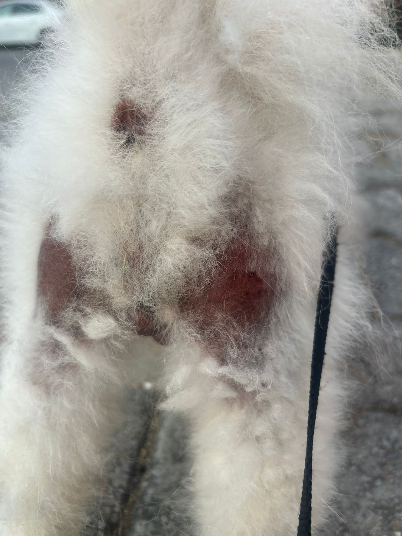 ALOPESİA X TÜY ÇIKARICI VAZELİN 100CC