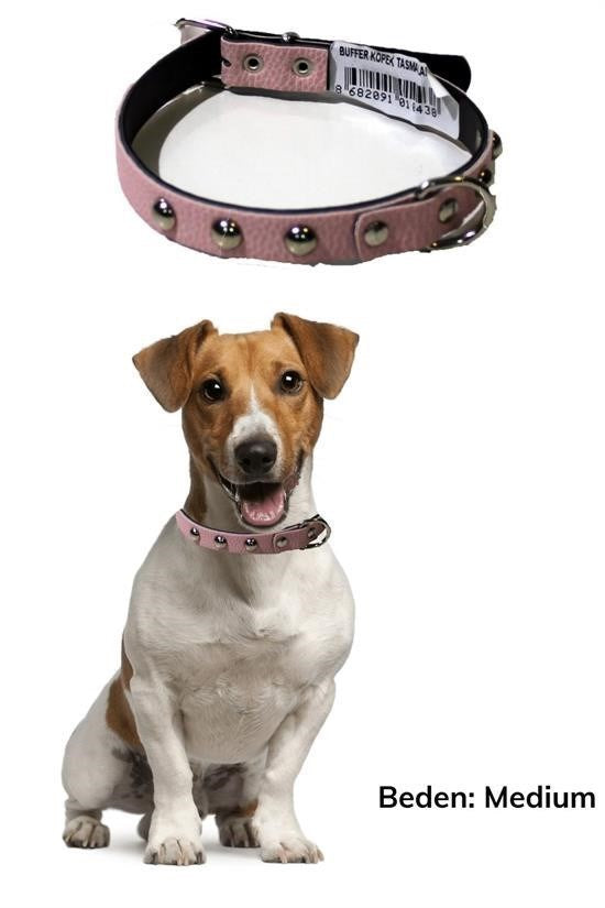 GENEL® Yumuşak Dokulu Deri Köpek Gezdirme Boyun Tasması Medium