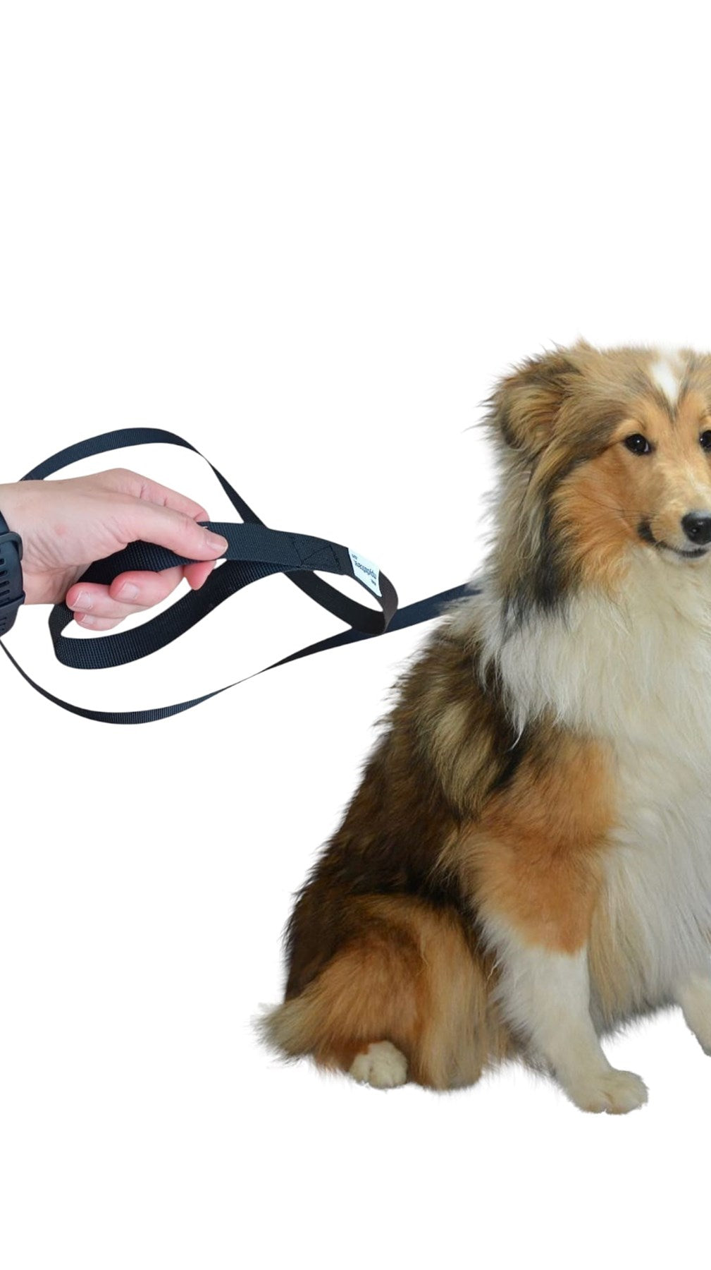 KÖPEK GEZDİRME İPİ