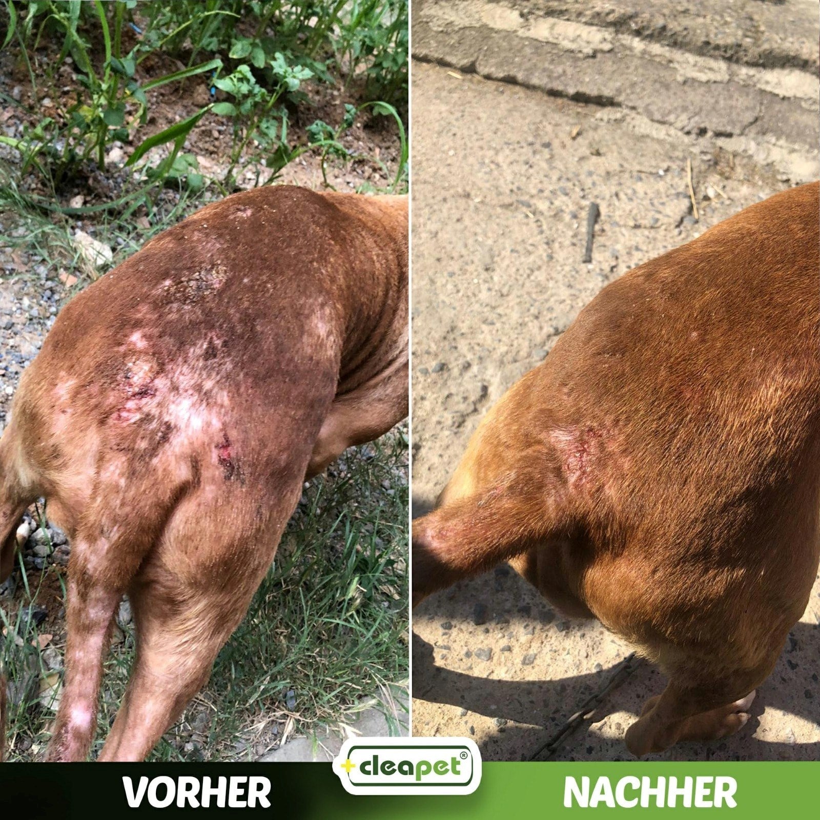 DERİ ONARIM VAZELİNİ 50CC+50CC