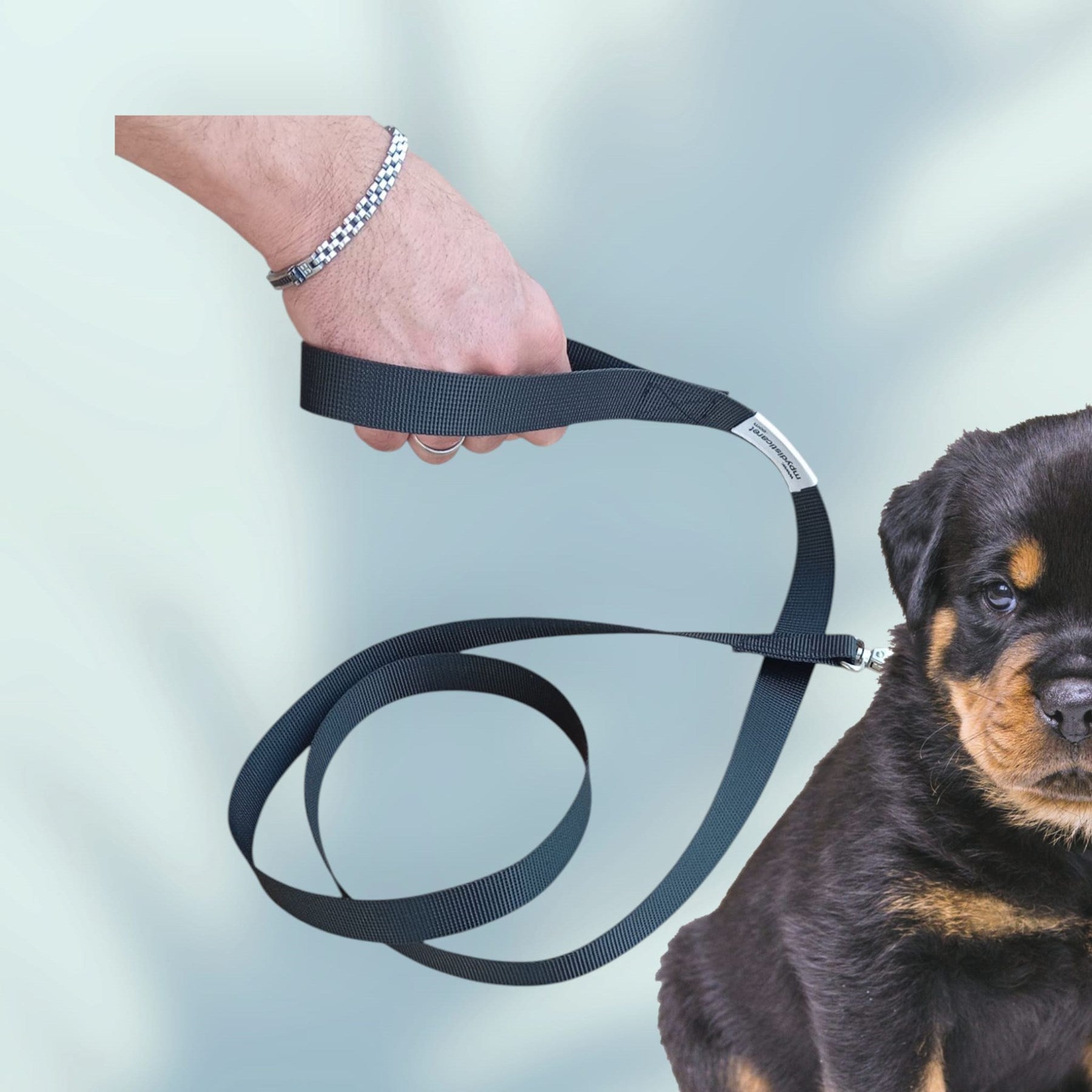 KÖPEK GEZDİRME İPİ