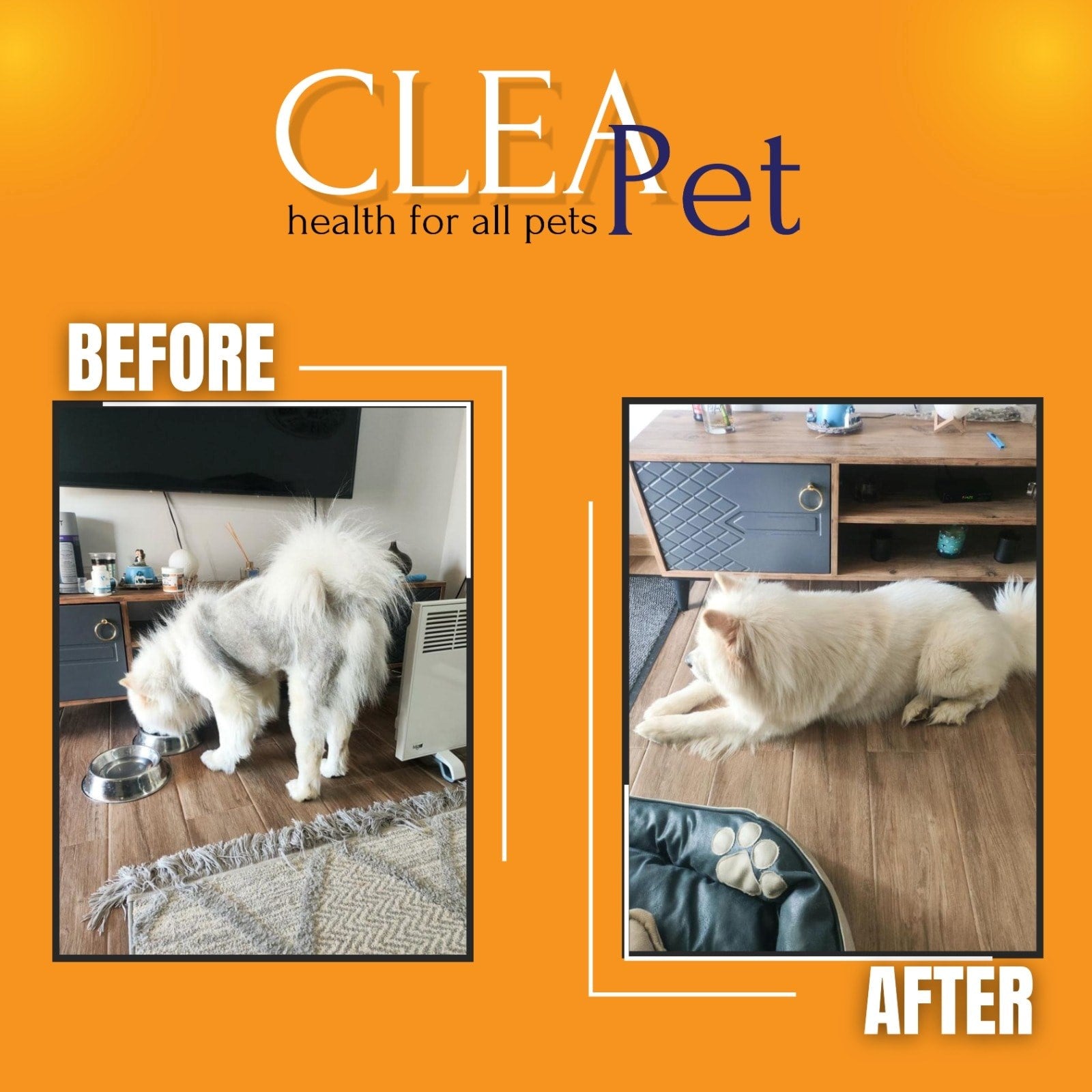 ALOPESİ X TEDAVİ SETİ