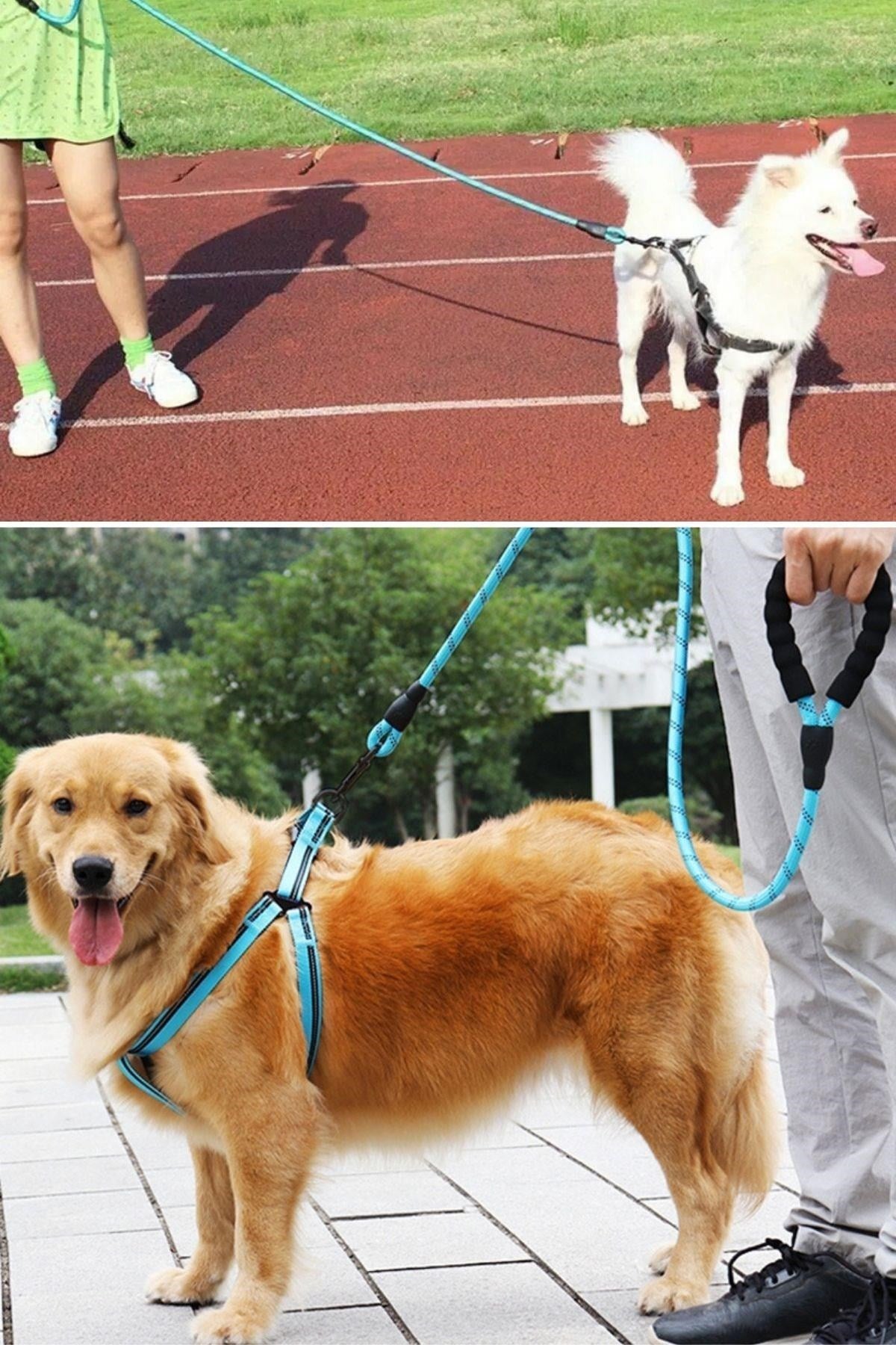 BUFFER® Reflektörlü Fosforlu Köpek Gezdirme Halatı Tasma Kayışı Metal Kancalı 130 cm