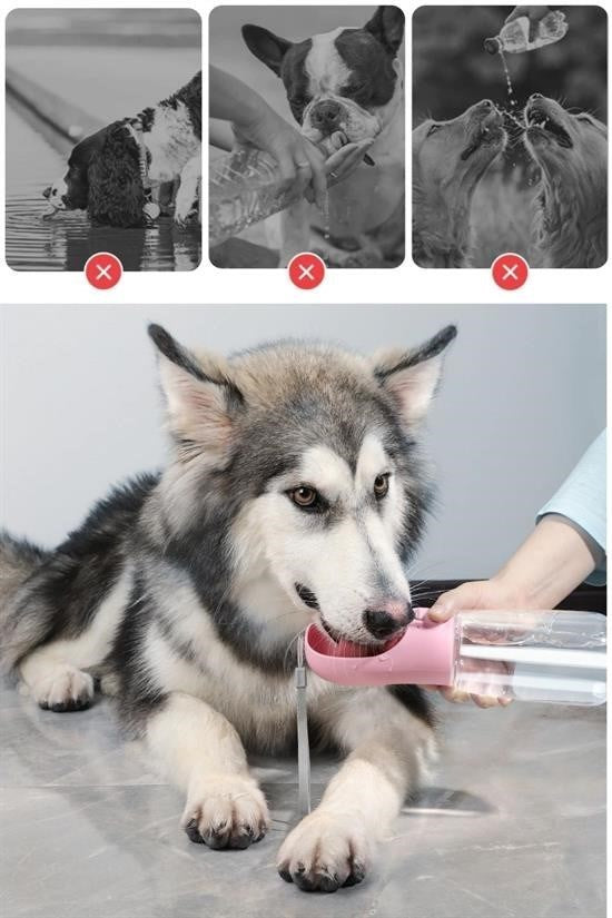 GENEL® Taşınabilir Evcil Hayvan Suluğu Seyahat Kabı Kilitlenebilen Su Sızdırmaz Kap 350 ml