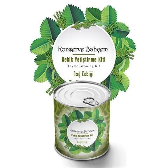 GENEL® Konserve Bahçem Evde Konservede Kekik Dağ Kekiği Yetiştirme Kiti