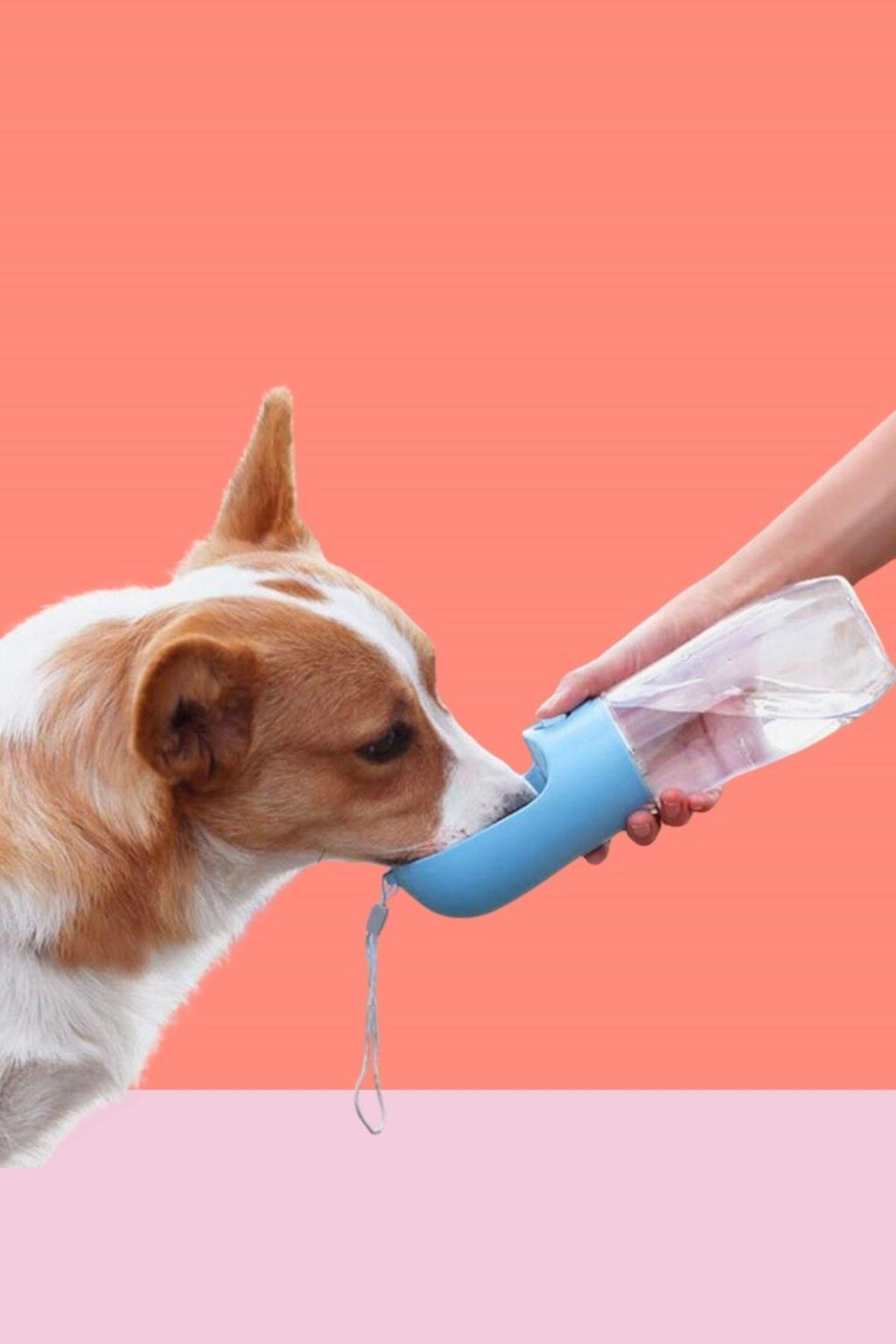 BUFFER® 450 ml Taşınabilir Butonlu Evcil Hayvan Suluğu