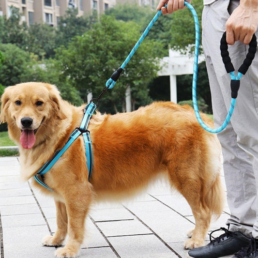 BUFFER® Reflektörlü Fosforlu Köpek Gezdirme Halatı Tasma Kayışı Metal Kancalı 130 cm - UcuzaGeliyor