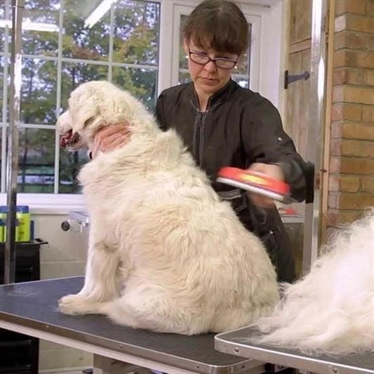 BUFFER® 23 KG Üzeri Uzun Tüylü Köpekler İçin Tüy Toplayıcı Ergonomik Tarak - UcuzaGeliyor