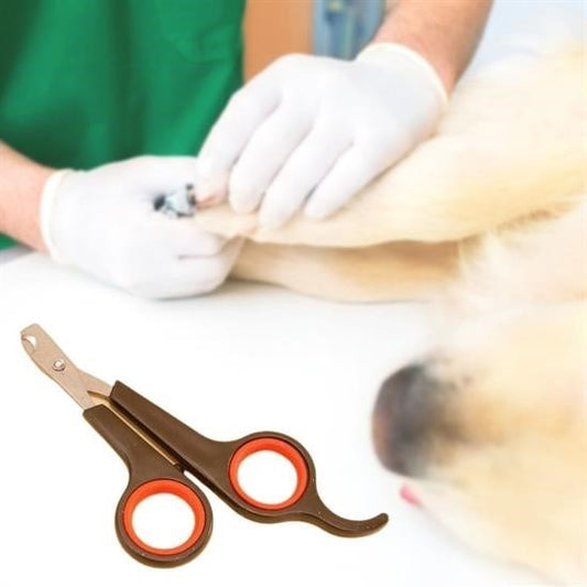 Buffer Küçük Çelik Uçlu Kedi Köpek Evcil Hayvan Tırnak Makası Pati Bakım Aleti Ergonomik Kaymaz Sap - UcuzaGeliyor