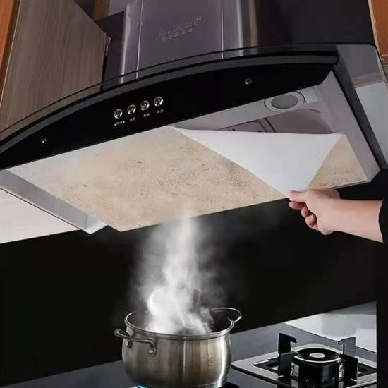 GENEL® 2li Yağ Emici Duman Önleyici Pratik Mutfak Davlumbaz Koruyucu Dayanıklı Yedek Filtre 45x90cm - UcuzaGeliyor