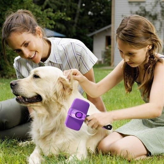 BUFFER®  Otomatik Temizlenebilen Tuşlu Pratik Kedi Köpek Tüy Toplama Fırçası - UcuzaGeliyor