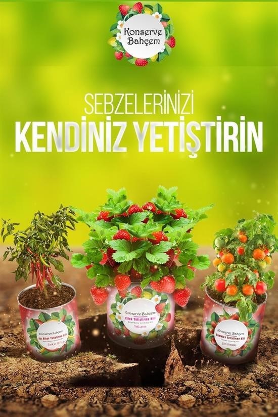 GENEL® Konserve Bahçem Evde Konservede Kekik Dağ Kekiği Yetiştirme Kiti