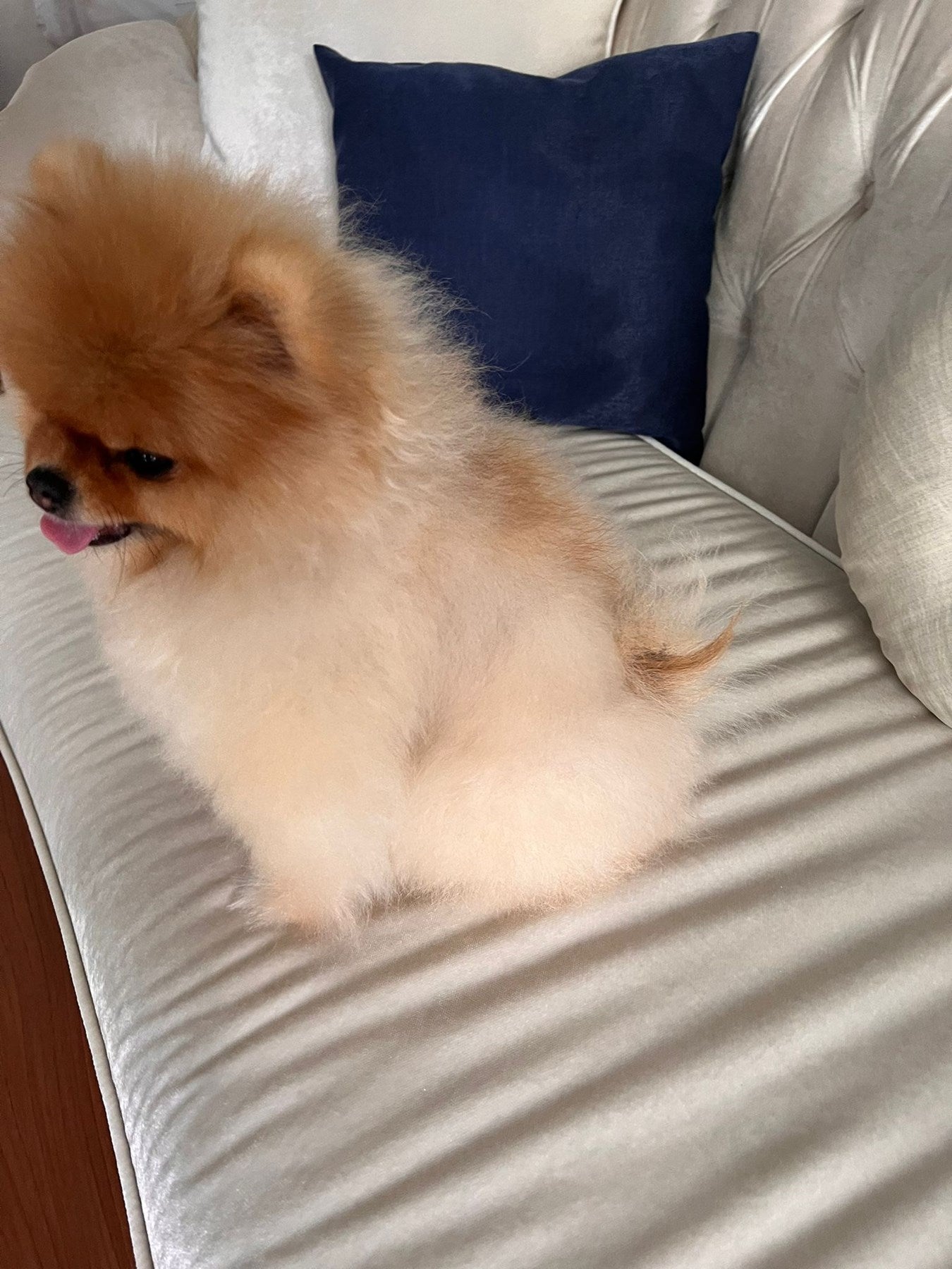 ALOPESİA X TÜY ÇIKARICI VAZELİN 100CC