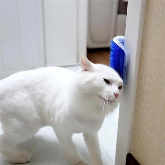 BUFFER®  Pratik Kedi Tüyü Kaşıma Ve Tarama Aparatı Duvara Monte Kaşıma Aleti - UcuzaGeliyor