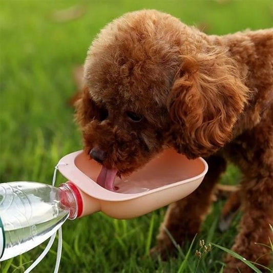 BUFFER® Evcil Hayvan Plastik Yıkanabilir Taşınabilir Su Şişesi Bağlantılı Su Kabı - UcuzaGeliyor