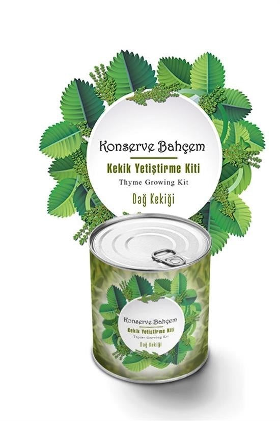 GENEL® Konserve Bahçem Evde Konservede Kekik Dağ Kekiği Yetiştirme Kiti