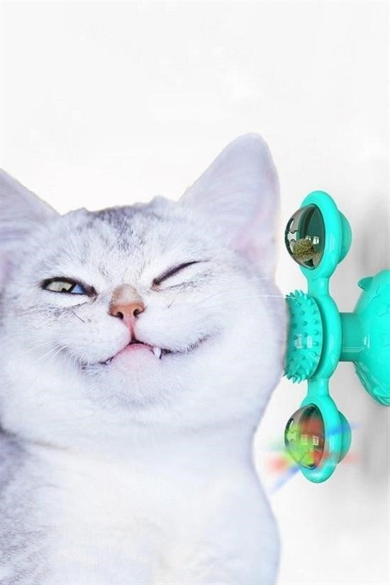 BUFFER® Pet Malzemeleri Vantuzlu Fırıldak Toplu Dönen Şeffaf Depo Tasarım İnteraktif Kedi Oyuncağı