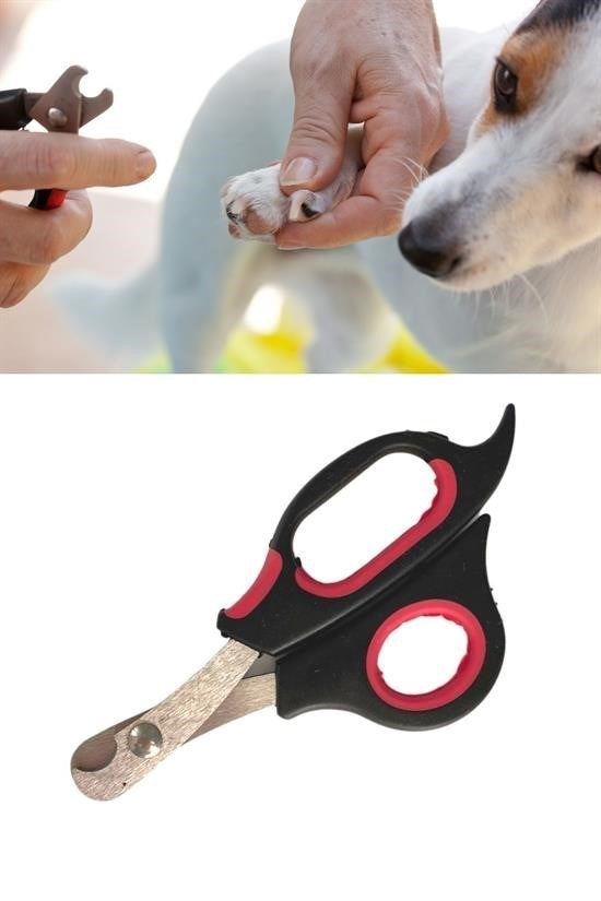 BufferBüyük Irk Köpek Kedi Çelik Uçlu Evcil Hayvan Tırnak Makası Pati Bakım Aleti Ergonomik Kaymaz