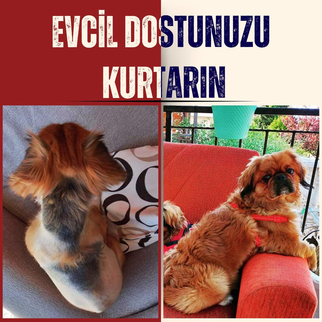 ALOPESİ X TEDAVİ SETİ