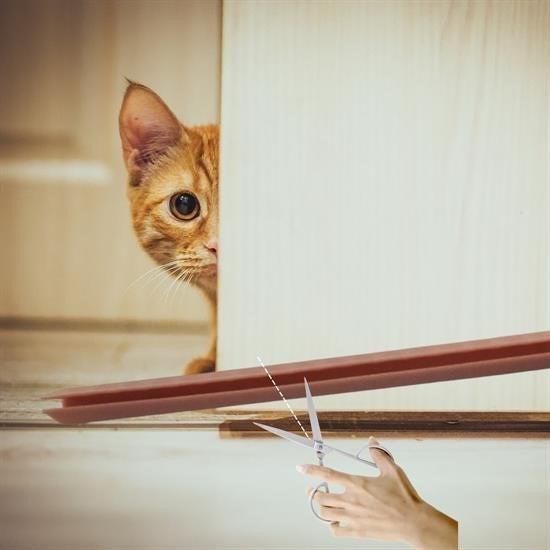 GENEL®  4 Adet Kapı Toz Rüzgar Önleyici Isı Yalıtımı Sağlayan Sızdırmaz Strafor - UcuzaGeliyor