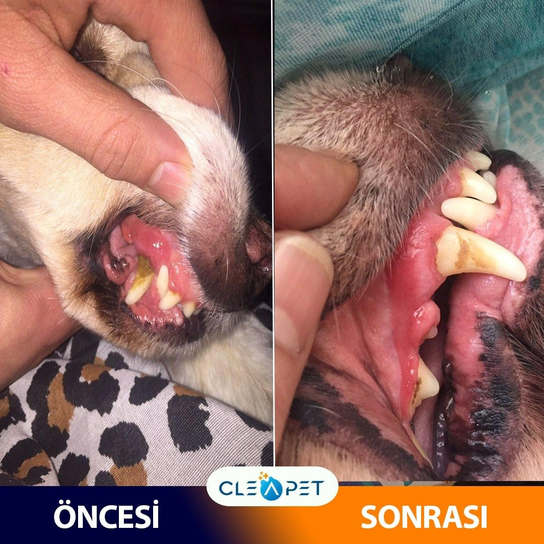 DİŞ HİJYEN MENDİLİ  60LI