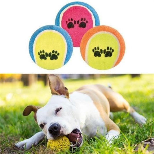 BUFFER®  3lü Renkli Desenli Tenis Topu Kedi Köpek Oyuncağı - UcuzaGeliyor
