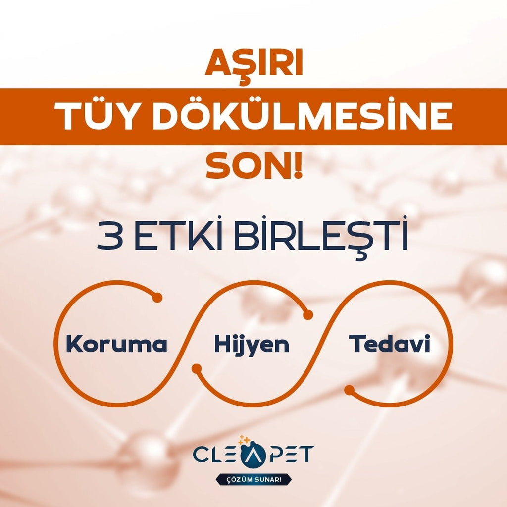 Vitabahçe Lavanta 70 gr