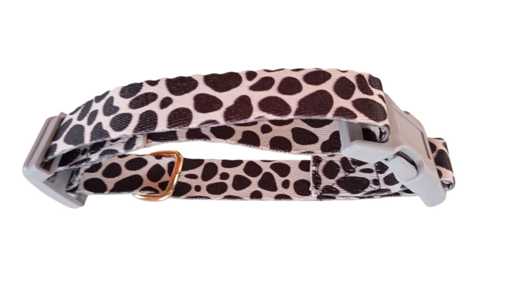 KÖPEK TASMASI VE GEZDİRME KAYIŞI 150 CM