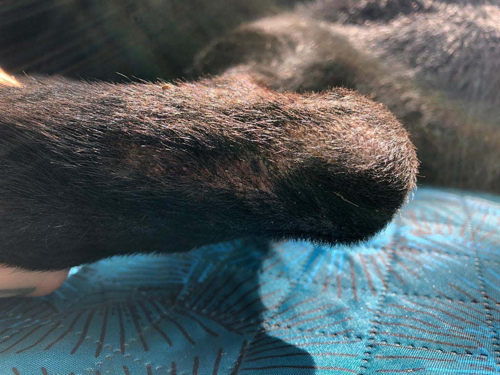 DERİ ONARIM VAZELİNİ 50CC+50CC