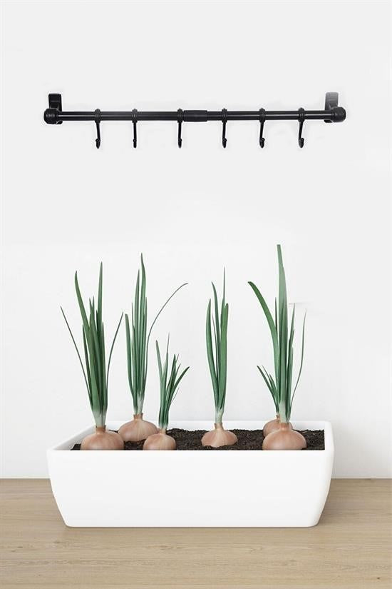 GENEL® Duvara Monte Edilen 6 Kancalı Dekor Kaşıklık ve Kupa Askısı - UcuzaGeliyor