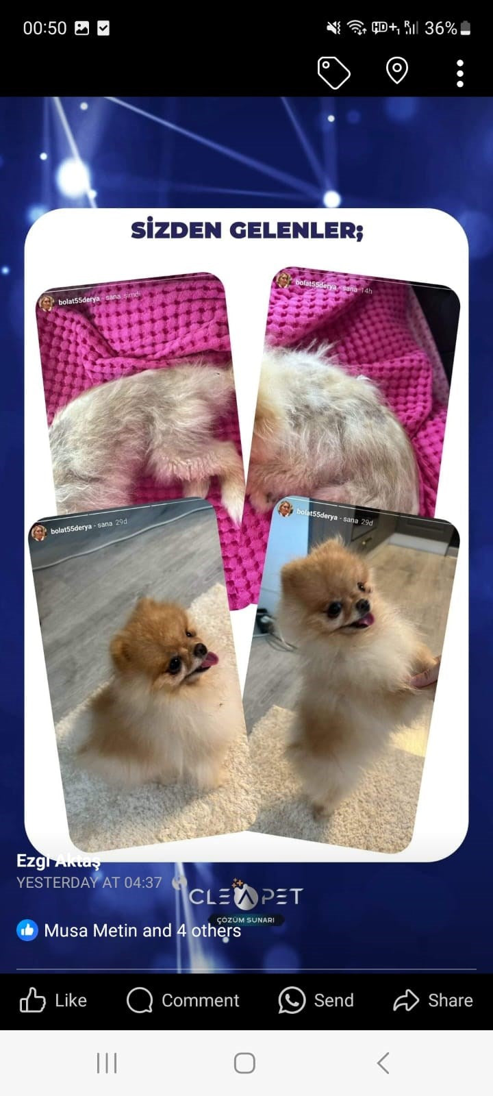 ALOPESİ X TEDAVİ SETİ