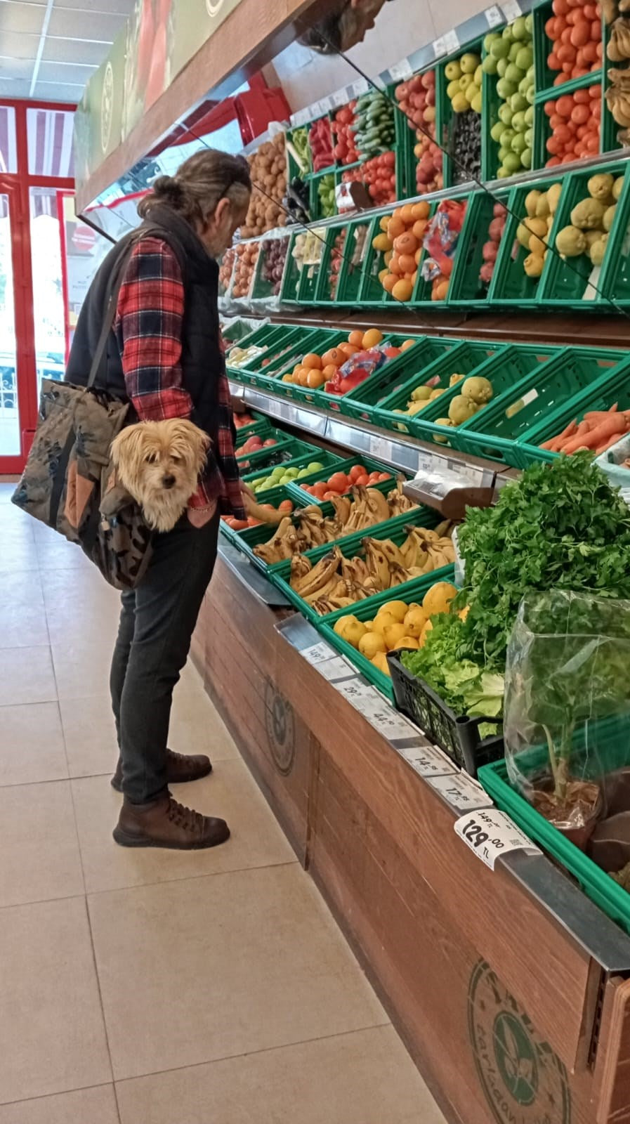 KÖPEK TAŞIMA ÇANTASI ,Sıvı Geçirmez,14 Kg a kadar