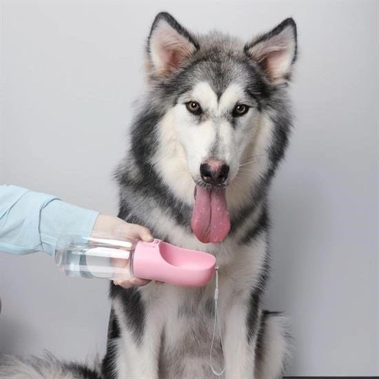 GENEL® Taşınabilir Evcil Hayvan Suluğu Seyahat Kabı Kilitlenebilen Su Sızdırmaz Kap 350 ml