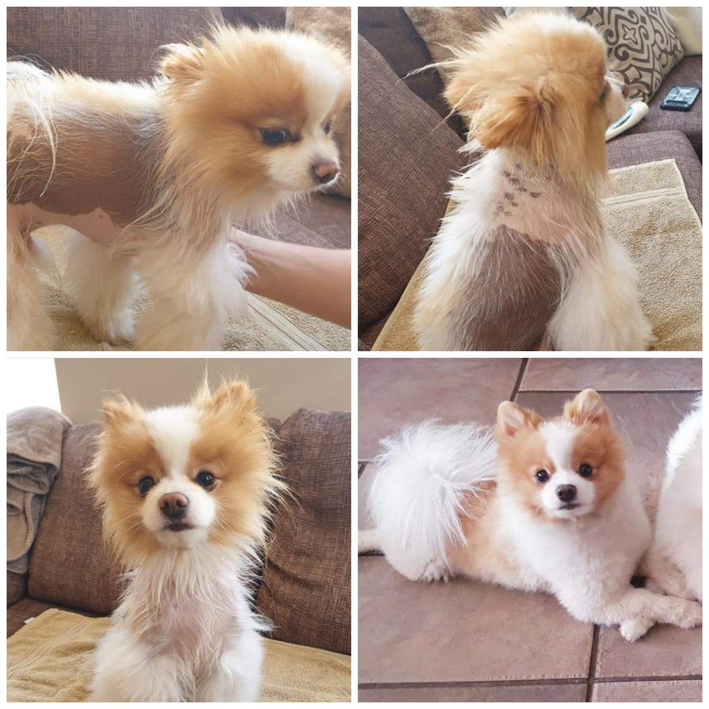 ALOPESİ X TEDAVİ SETİ