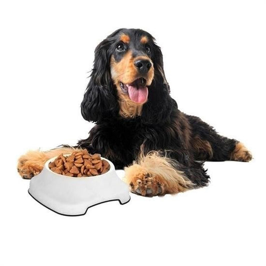 BUFFER® Silikon Kaydırmaz Taban Plastik Kedi ve Köpek Mama ve Su Kabı 2 L - UcuzaGeliyor