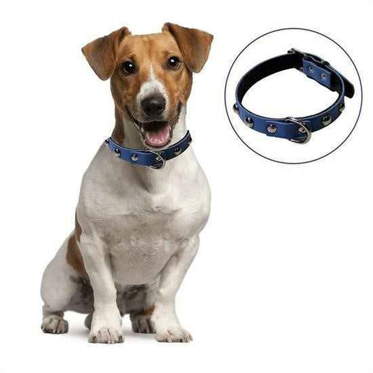 BUFFER® Yumuşak Dokulu Deri Köpek Gezdirme Boyun Tasması (Large) - UcuzaGeliyor