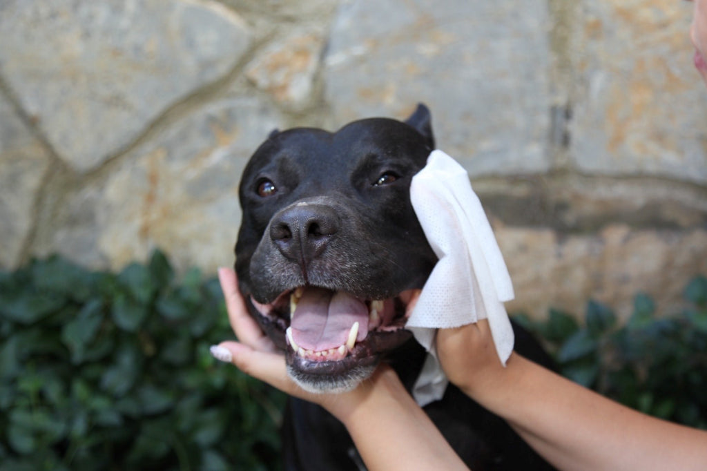 Yellove 200 gr. Y. Bisküvi Kreması