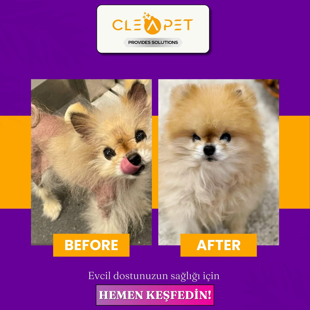 ALOPESİ X TEDAVİ SETİ