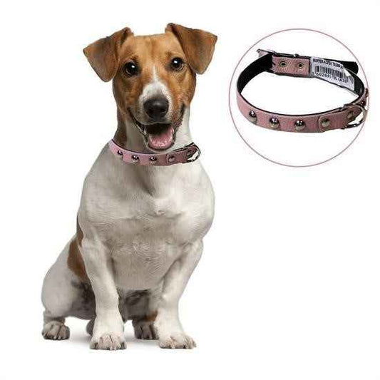 BUFFER® Yumuşak Dokulu Deri Köpek Gezdirme Boyun Tasması Medium - UcuzaGeliyor