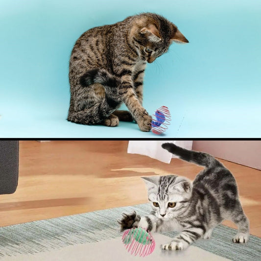 BUFFER® Yaylı Metal Fareli Kafes Kedi Oyun Topu Sıçrayan Spiral Kedi Topu - UcuzaGeliyor