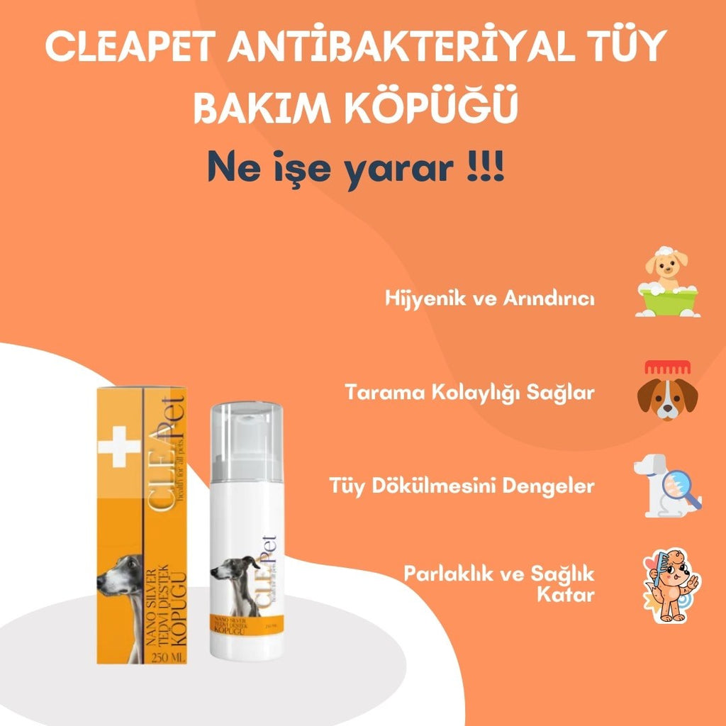 ANTİBAKTERİYEL KURU KÖPÜK ŞAMPUAN 200ML
