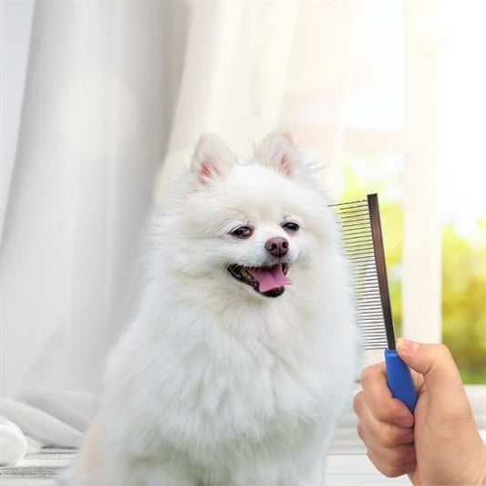 BUFFER® Tüy Açıcı Kedi Köpek Tarağı Tek Taraflı Metal Dişli Evcil Hayvan Bakım Fırçası - UcuzaGeliyor