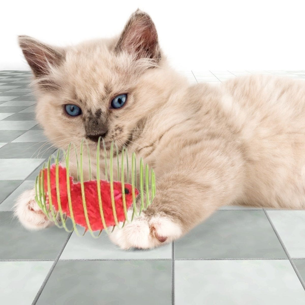 BUFFER® Yaylı Metal Fareli Kafes Kedi Oyun Topu Sıçrayan Spiral Kedi Topu