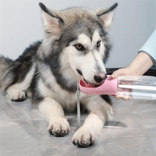 BUFFER® Taşınabilir Evcil Hayvan Suluğu Seyahat Kabı Kilitlenebilen Su Sızdırmaz Kap 350 ml - UcuzaGeliyor